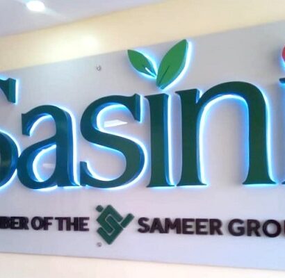 SASINI-3D-Reverse-Lit