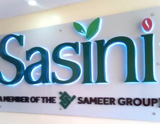SASINI-3D-Reverse-Lit